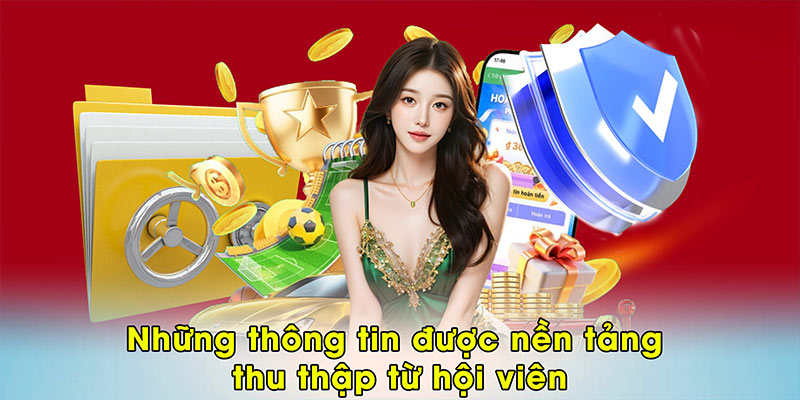 Những thông tin được nền tảng thu thập từ hội viên